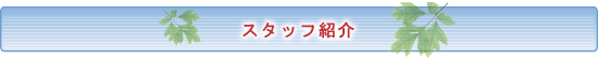 スタッフ紹介